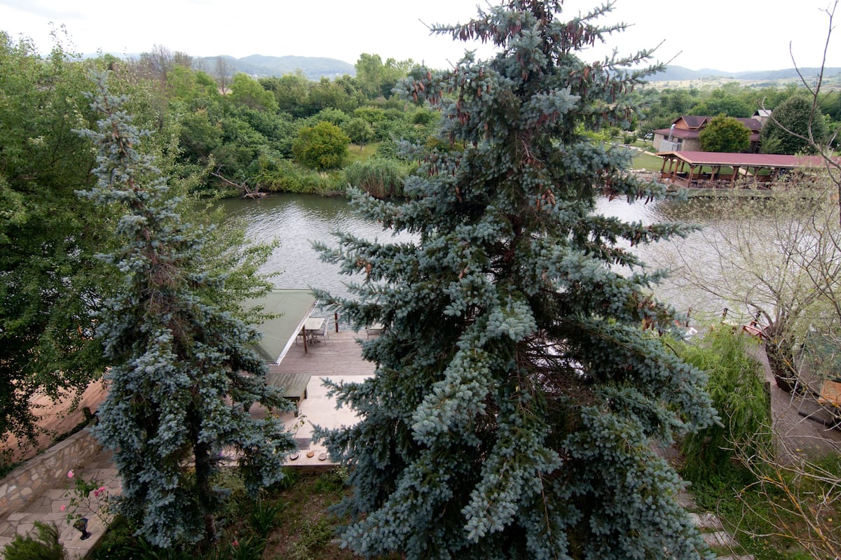 Une propriété au bord du lac, dotée d’une terrasse en bois, d’un belvédère et offrant une vue sur le lac et la végétation environnante.