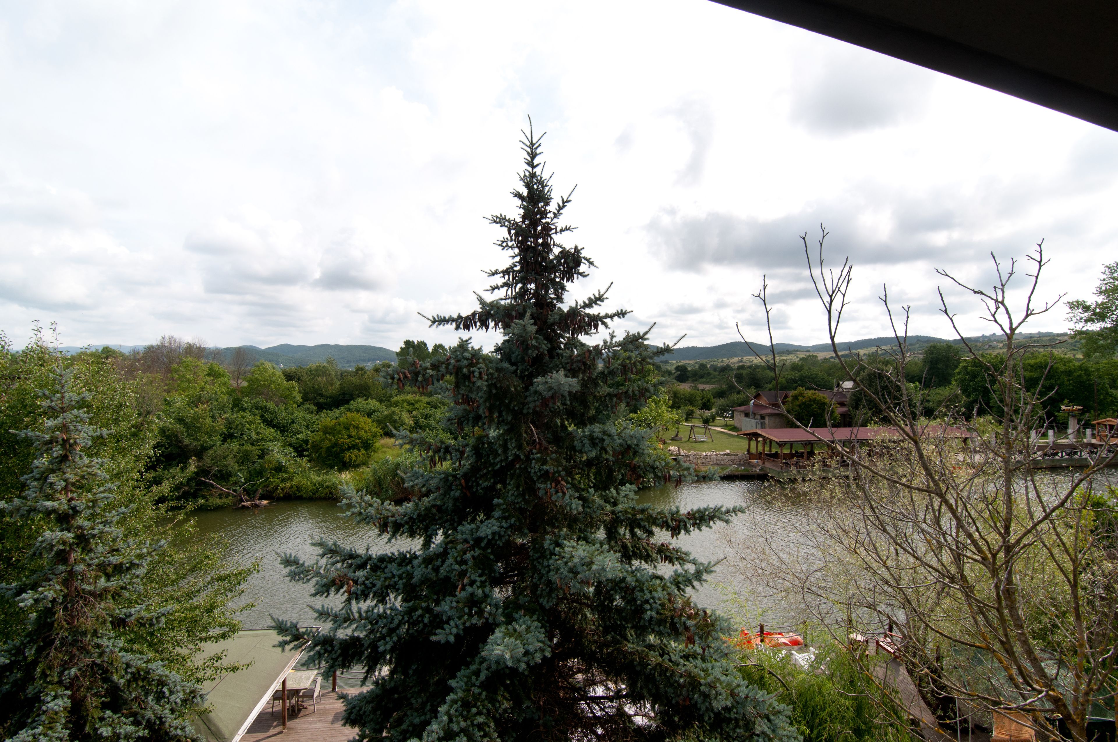 Vista di un lago con un conifero in primo piano, immerso nel verde e con un edificio in lontananza dal tetto rosso.