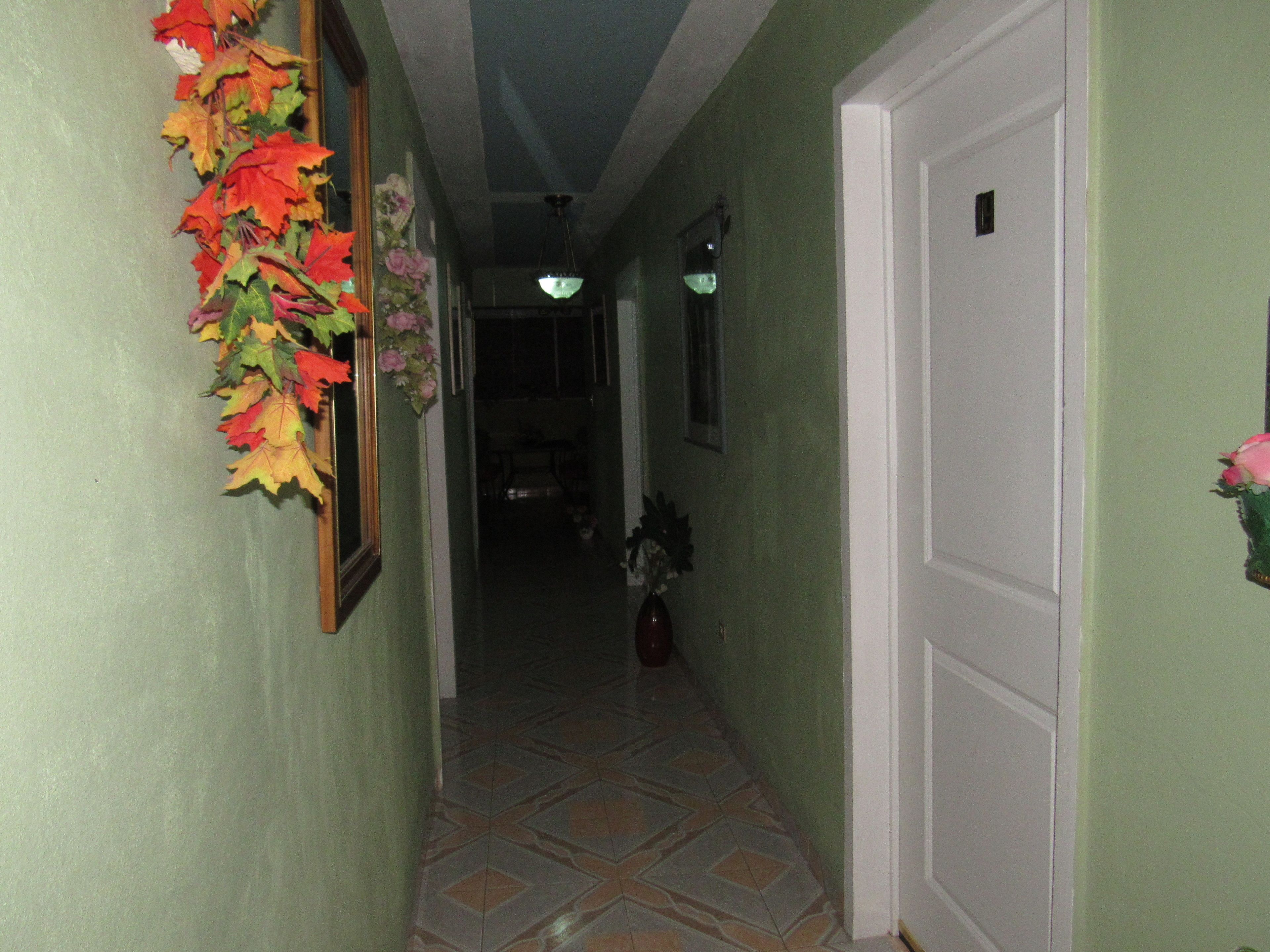 A hallway with patterned floor tiles, a door on the right, and a wall with a hanging leaf decoration.
