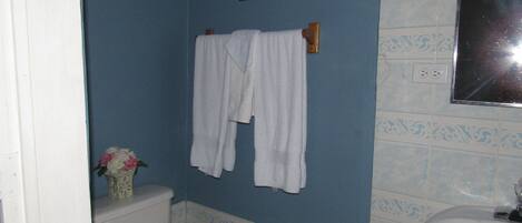 A bathroom with a toilet, a sink, and a towel hanging on a rack.