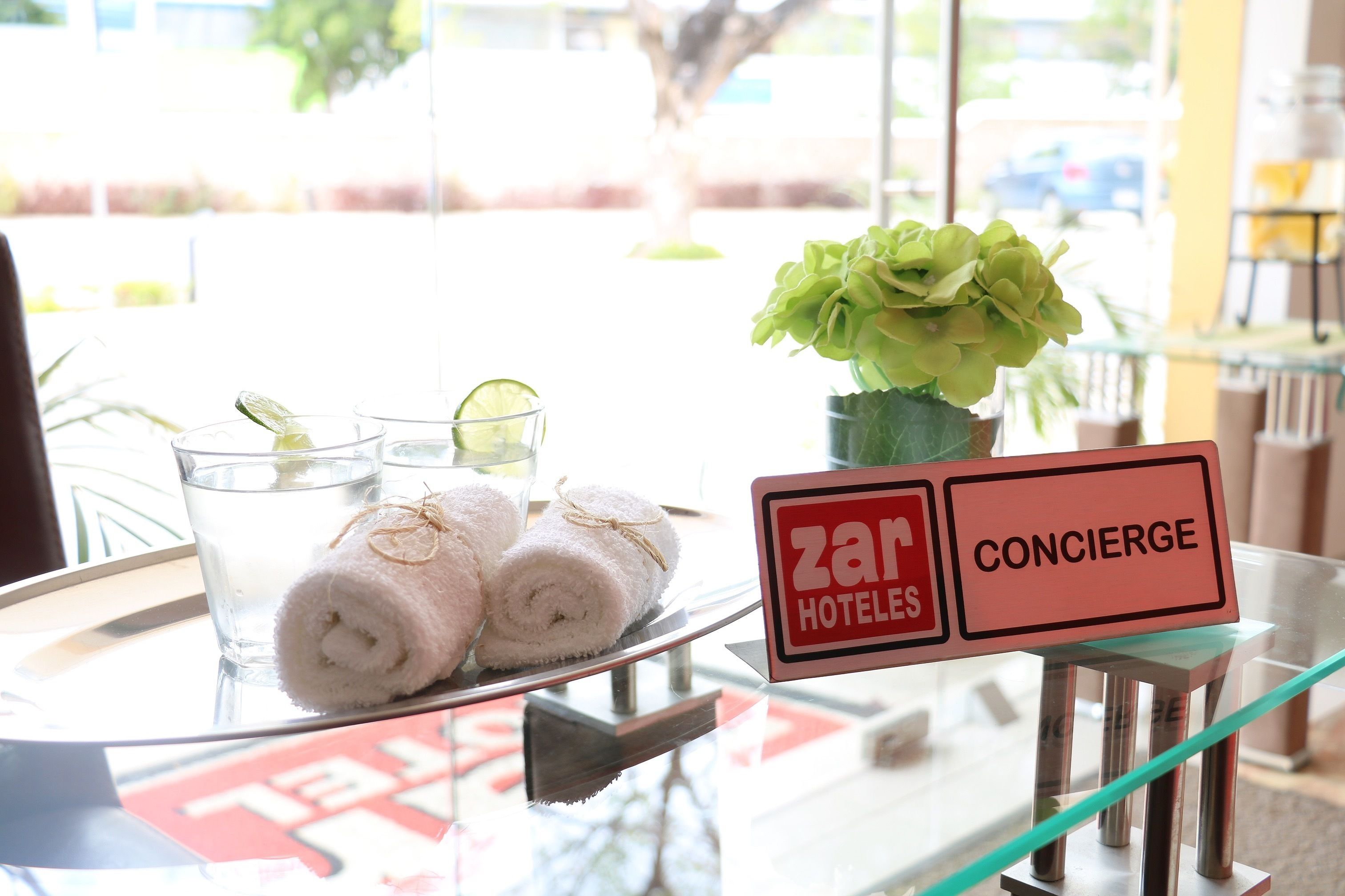 Photo - Hotel Zar Merida