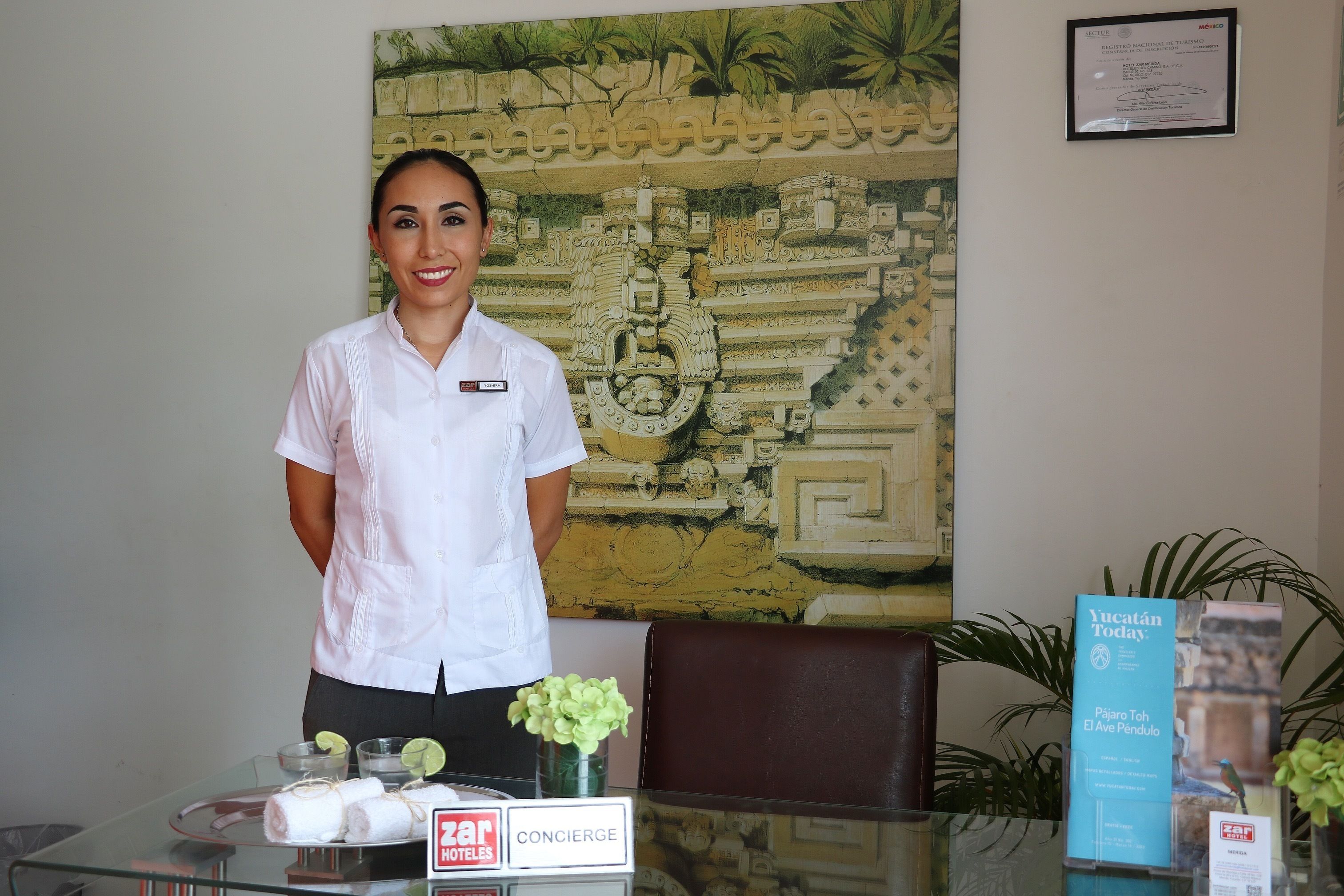 Photo - Hotel Zar Merida