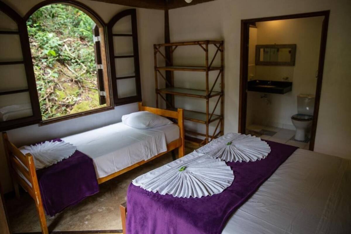 A room with two single beds, a wooden shelf unit, a window with a view of greenery, and a bathroom with a toilet and sink.