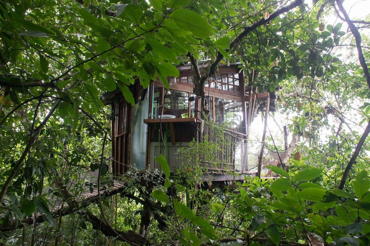 A treehouse with a wooden deck and a small balcony, surrounded by dense foliage.