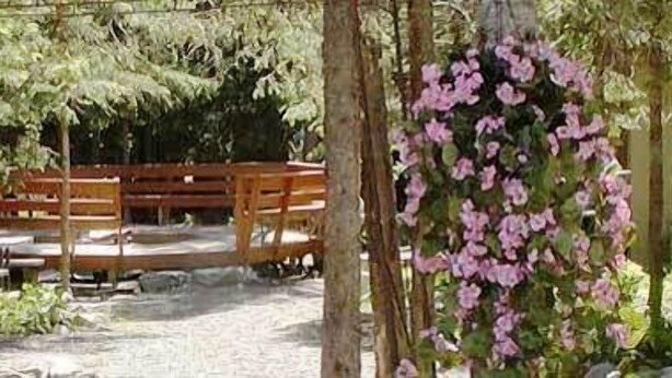Un banco de madera bajo una pérgola con plantas trepadoras.