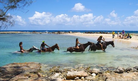 Beach nearby, white sand