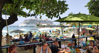 Ocho Rios Villa at Coolshade