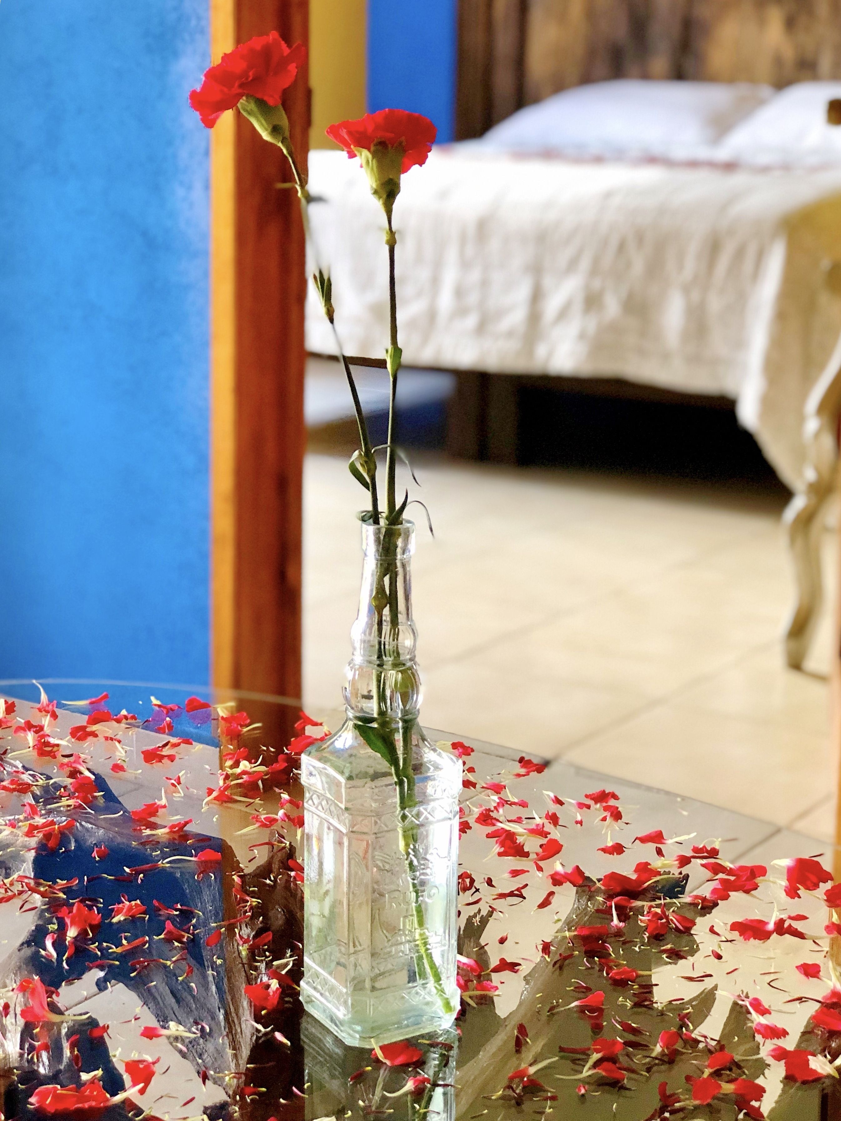 Un florero de vidrio transparente con flores rojas sobre una mesa, rodeado de pétalos dispersos.