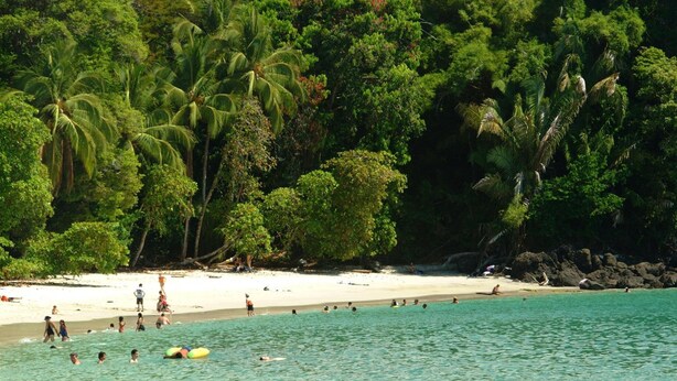 A beach with palm trees and clear water. - Hotel Manuel Antonio Park (Quepos)