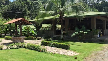 Taman