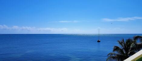 A clear view of the ocean with a sailboat in the distance.