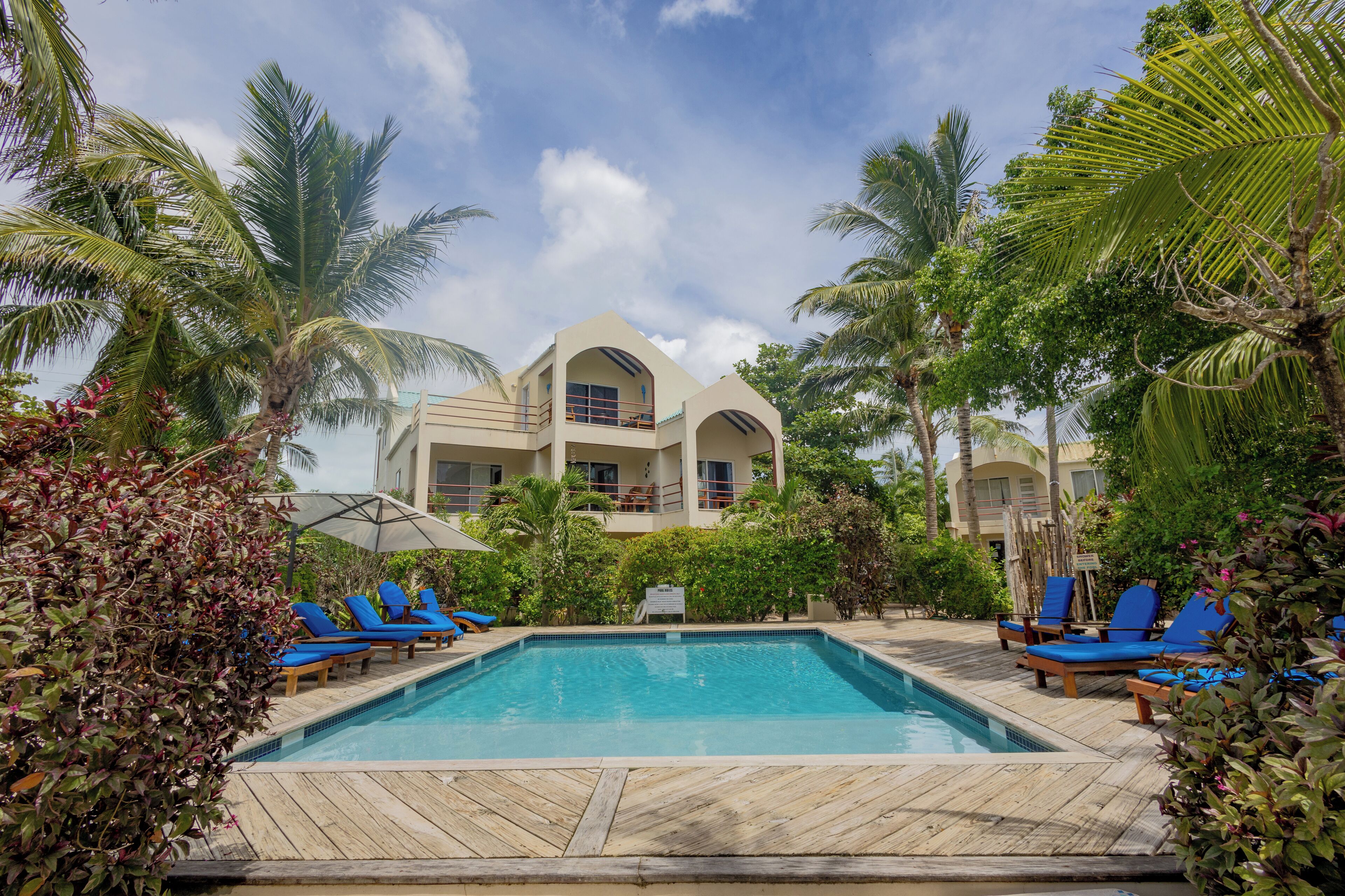 Outdoor pool, pool umbrellas, sun loungers