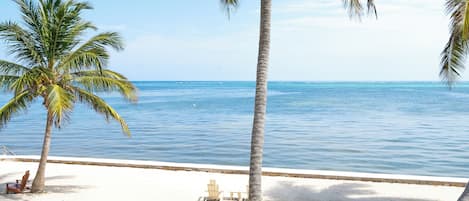 Superior Condo, 2 Bedrooms, Sea View | Terrace/patio