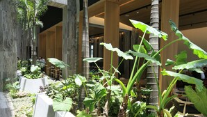 Un espacio interior moderno con plantas altas, techo de cristal y diseño minimalista.