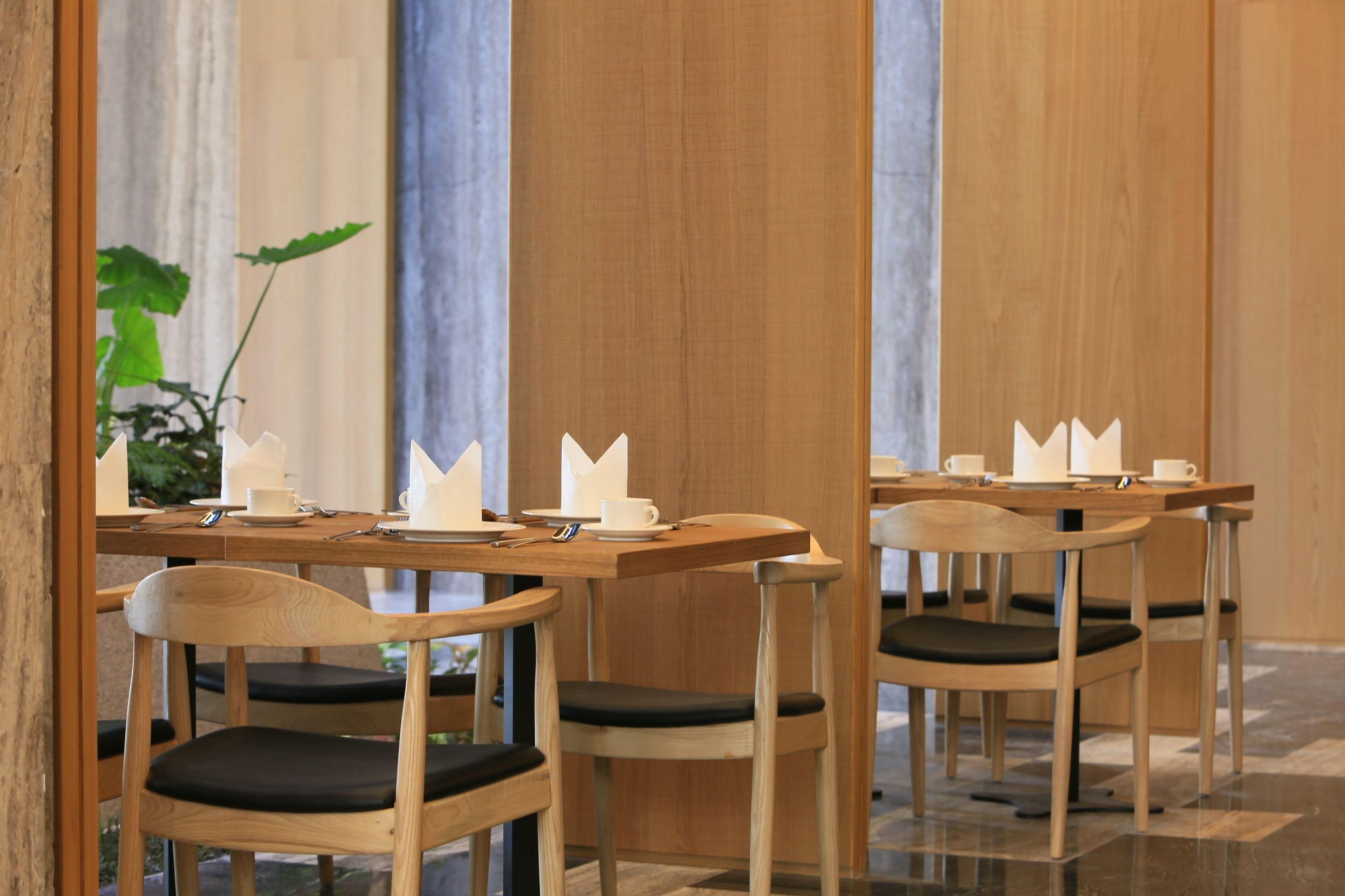 Un comedor con mesas y sillas de madera, vajilla blanca y una planta en maceta.