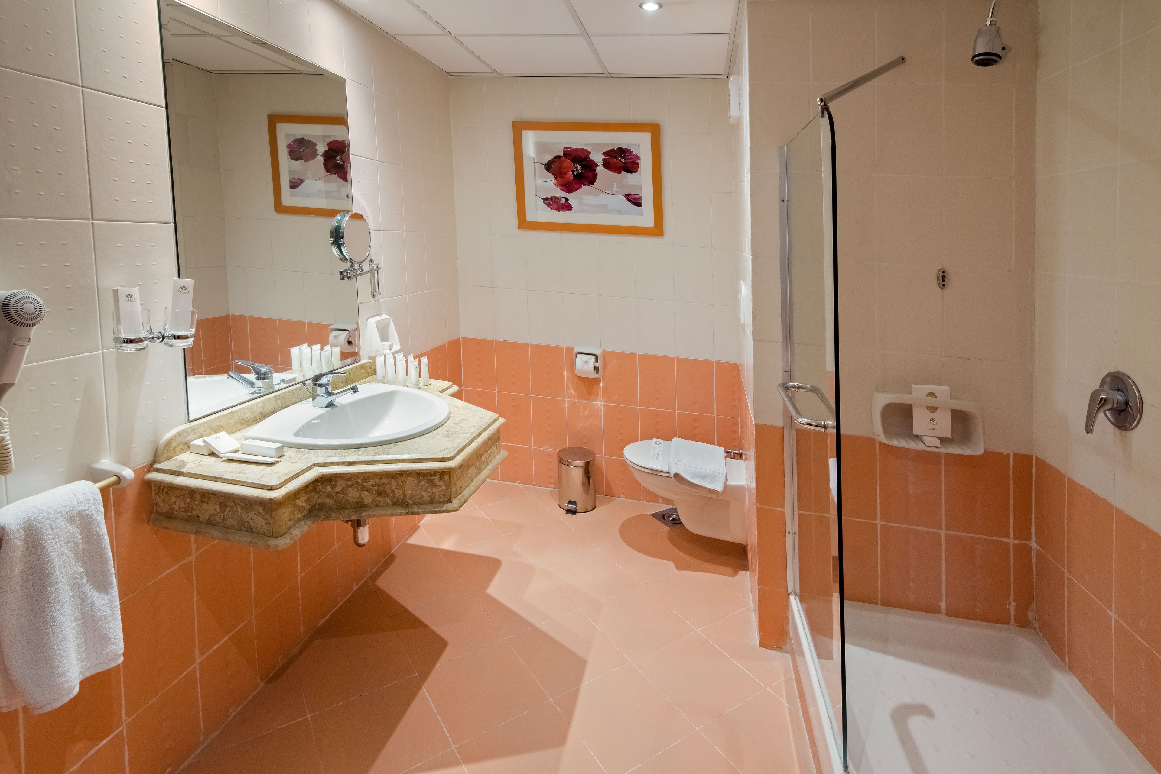 shower, free toiletries, slippers, towels