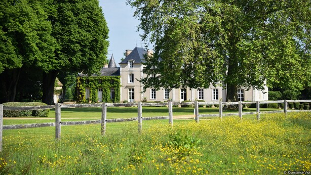 Een groot, historisch gebouw met een symmetrische gevel, omgeven door weelderige begroeiing en een veld vol gele bloemen.