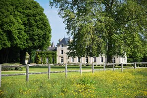 Un edificio grande e histórico con fachada simétrica, rodeado de exuberante vegetación y un campo de flores amarillas.
