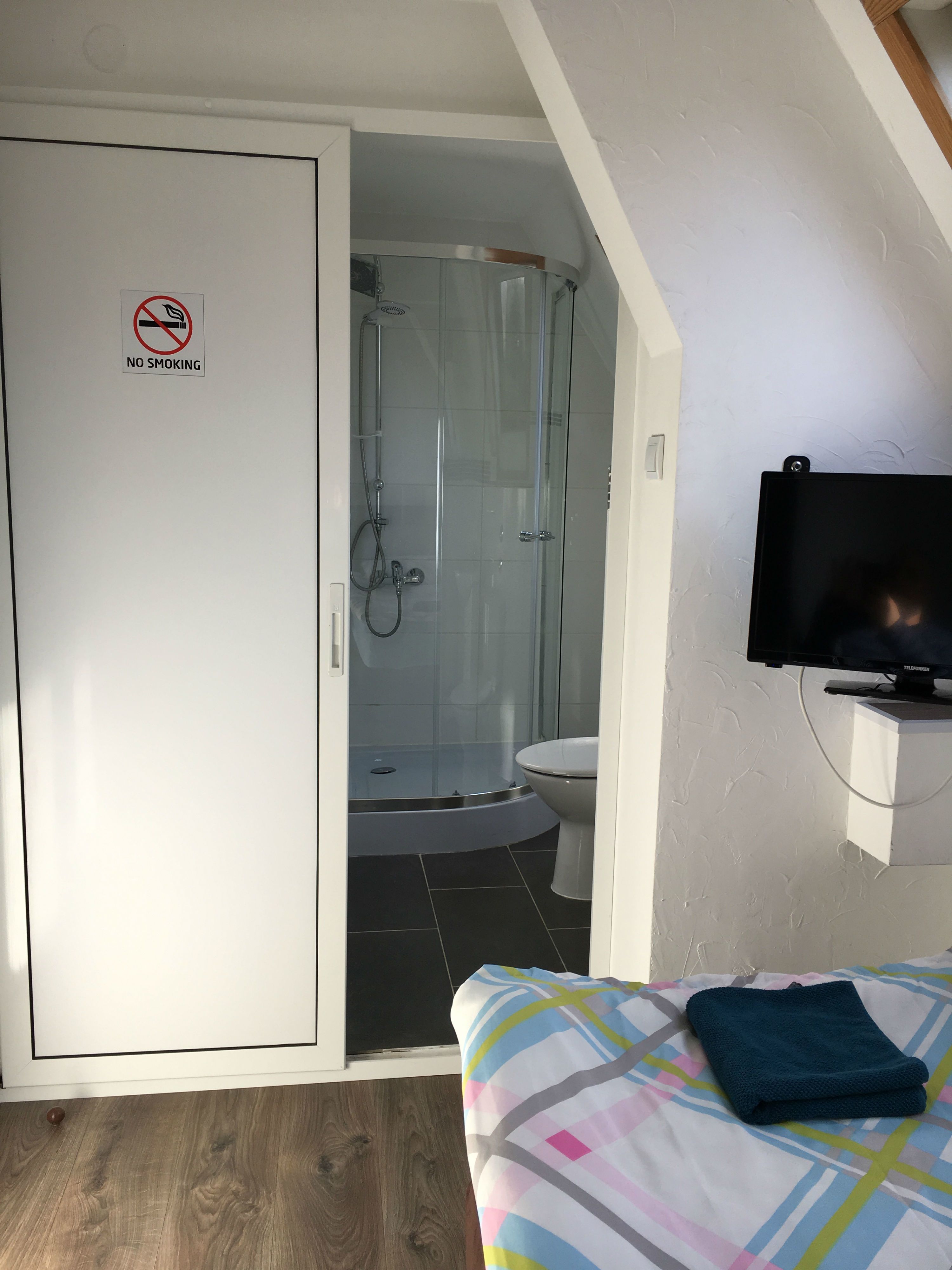 A bedroom with a bed, a TV, a shower, and a toilet.