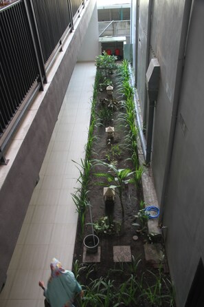 View from property - Palapa Hotel (Mataram)