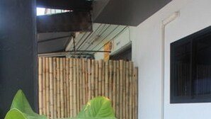 A potted plant in a modern room with a bamboo backdrop, a table, and a chair. - Picoco hostel (Koh Samui)