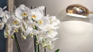 A close-up of white orchids with a wall-mounted lamp in the background. - Ramé Suites (Bergamo)