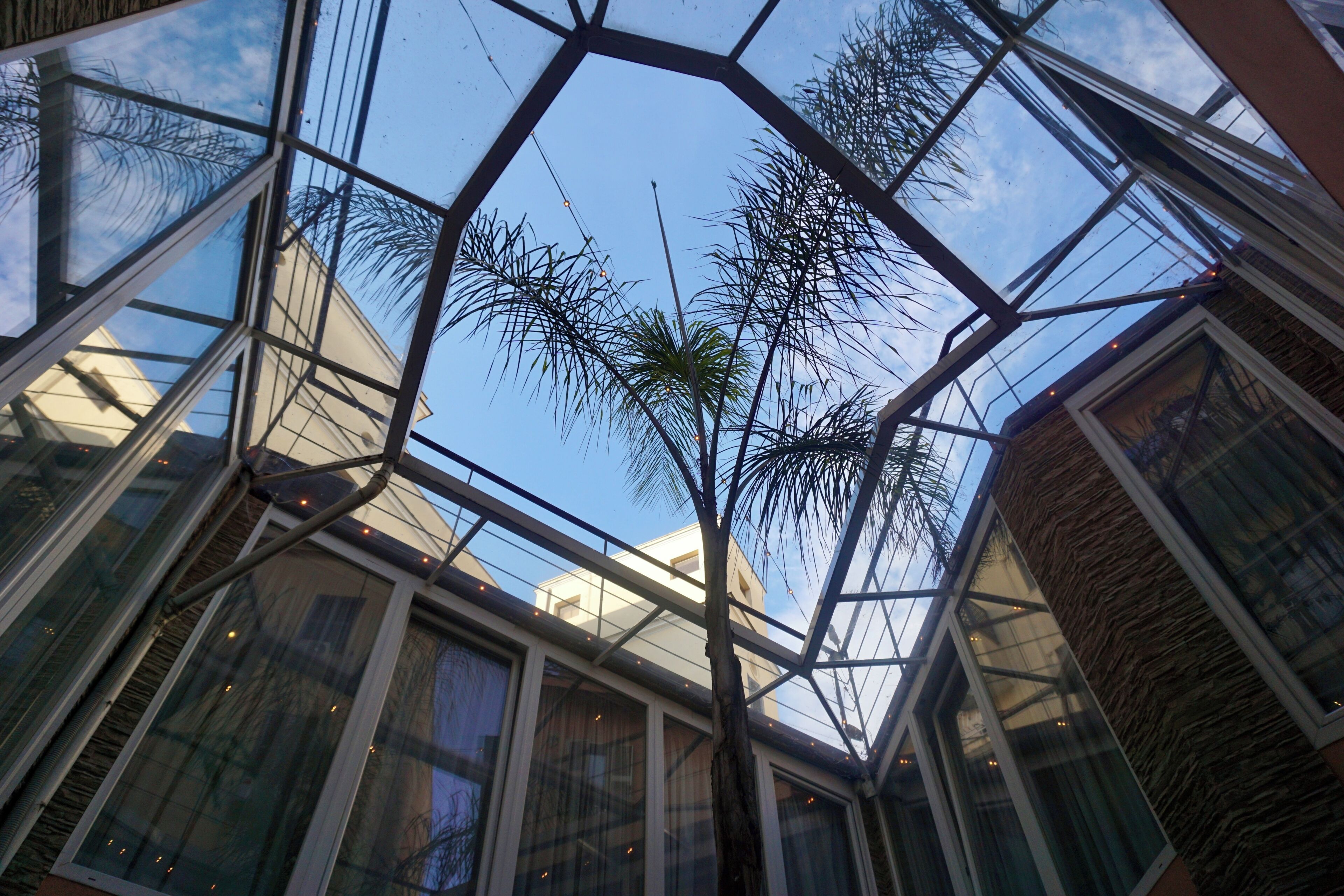 Un atrio con paneles de vidrio y una estructura de techo geométrica, con un árbol central.