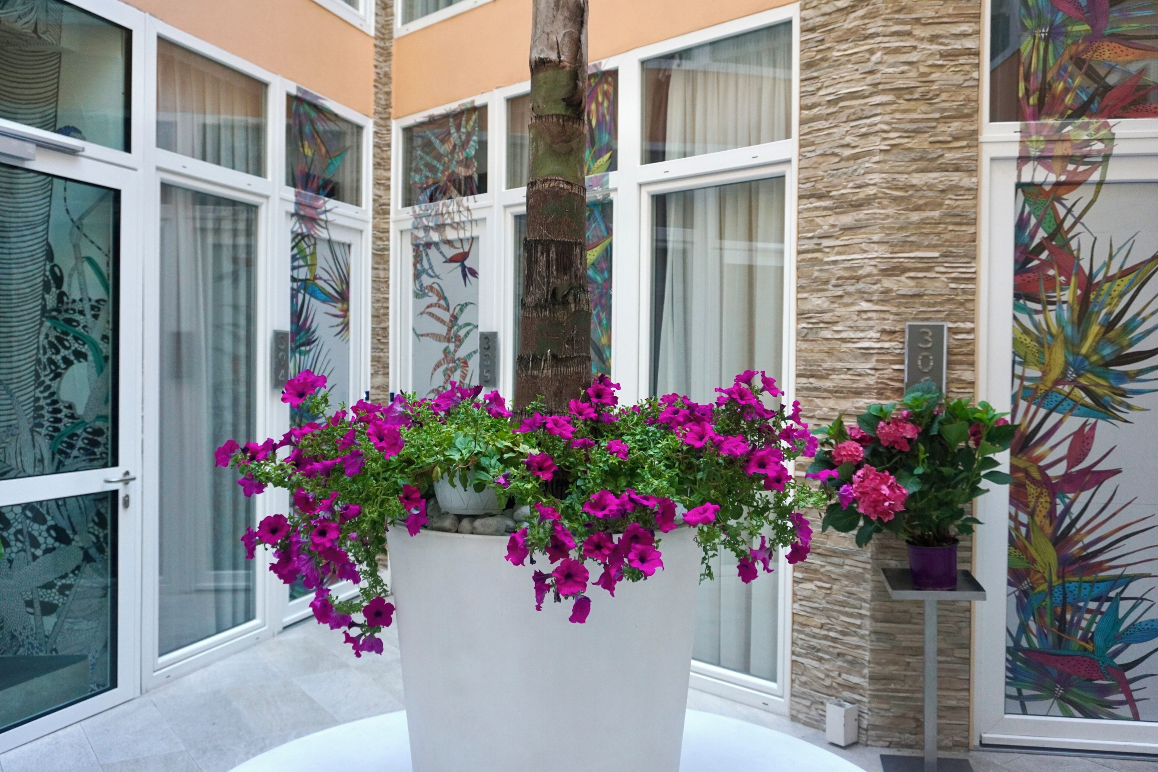 A building with a central column, large windows, and a potted plant with pink flowers.
