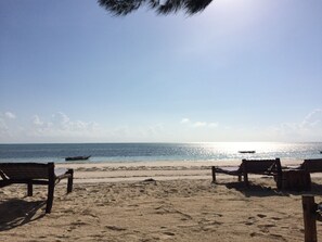 Beach - Simba Beach Zanzibar (Kiwengwa)