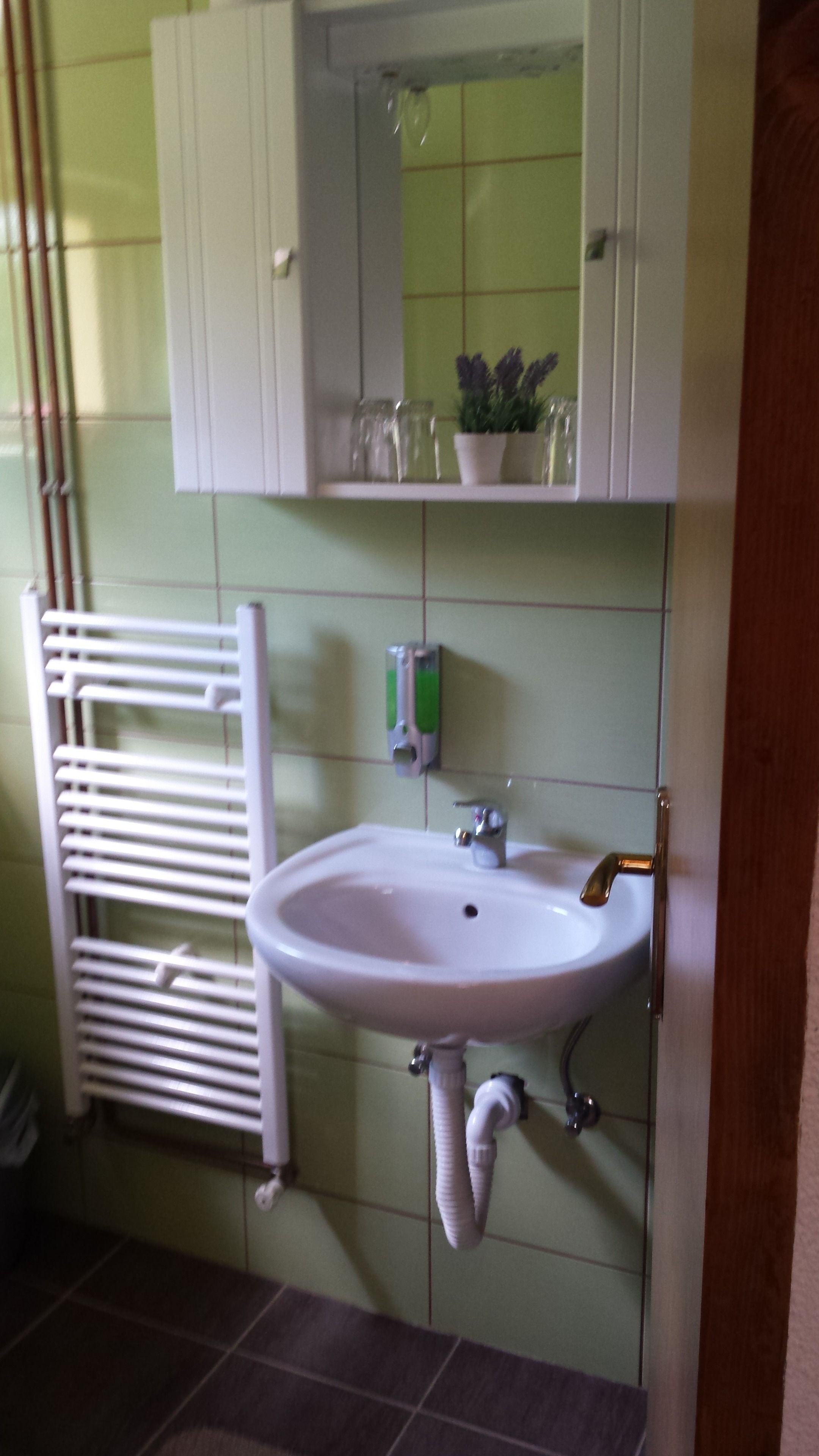 A bathroom with a white sink, a mirror above it, and a towel rack to the left.