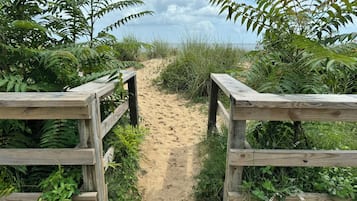 Un sentier en bois menant à une plage, bordé d’une végétation luxuriante et s’ouvrant sur un ciel dégagé.