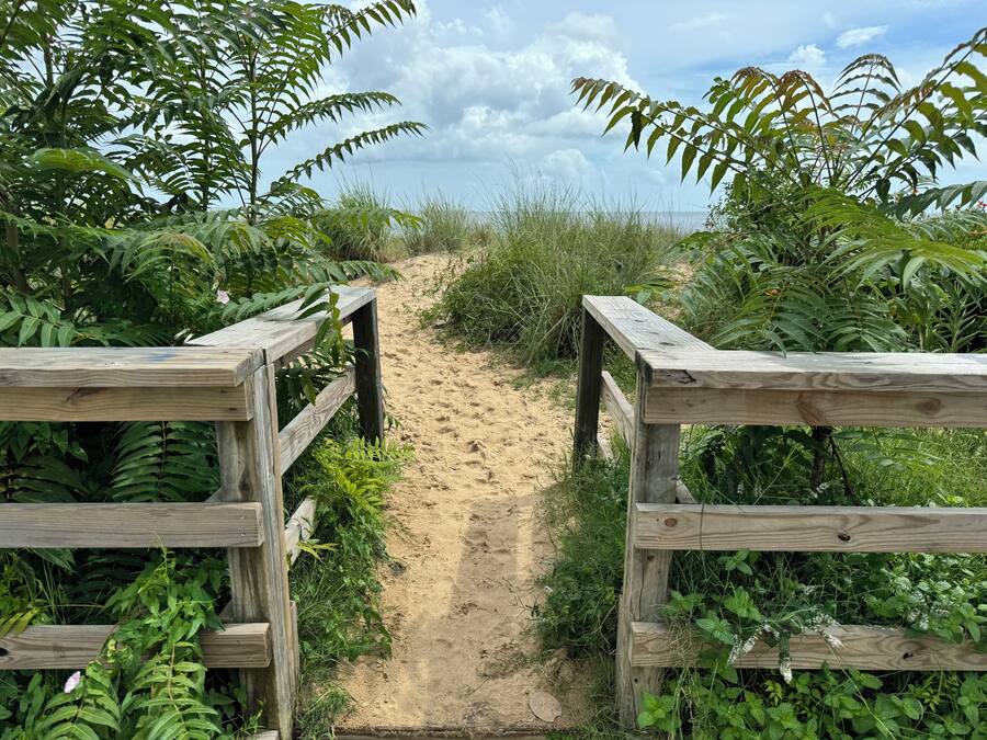 Un sentier en bois menant à une plage, bordé d’une végétation luxuriante et s’ouvrant sur un ciel dégagé.