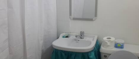 Ein Badezimmer mit einem weißen Waschbecken, einem Spiegel, einer Toilette und einer Duschvorhang.