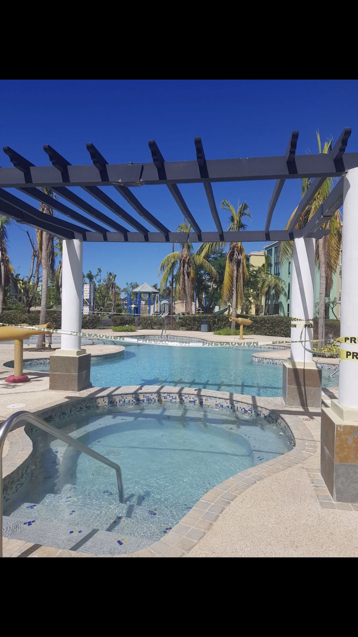 A pool area with a hot tub, palm trees, and a pergola structure.