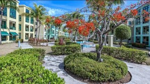 Un resort con piscina, palmeras y un jardín bien cuidado.