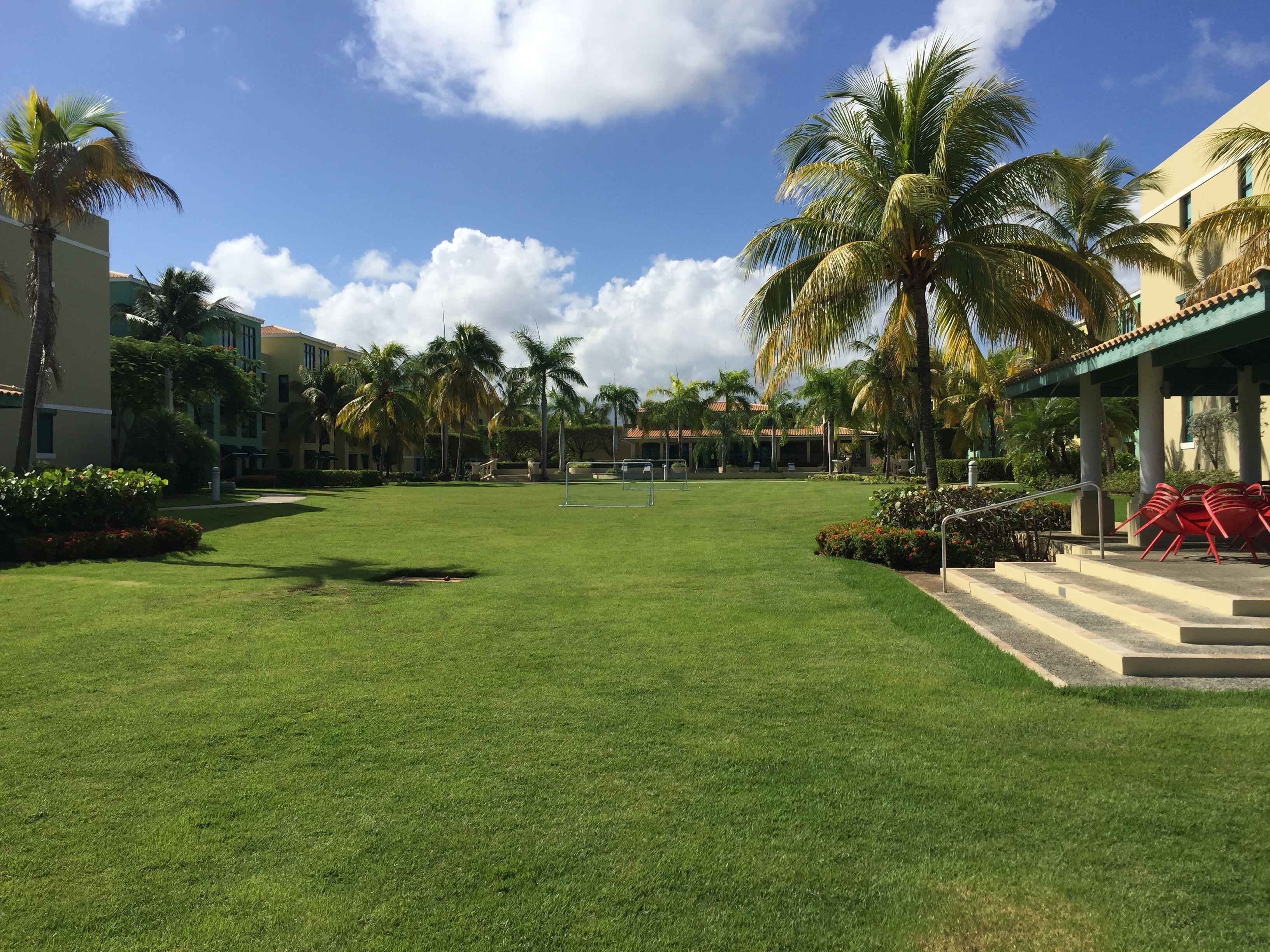 A well-maintained lawn with palm trees, a covered seating area, and a building with a tiled roof.