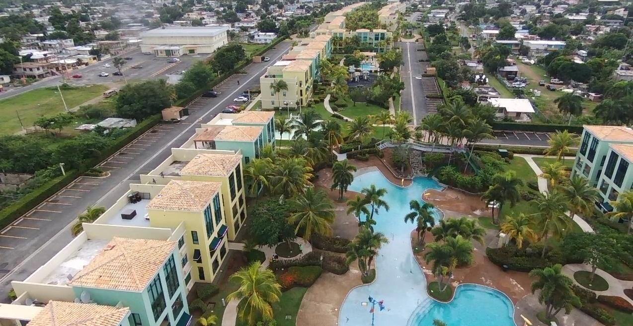 A residential area with a swimming pool, palm trees, and a road.