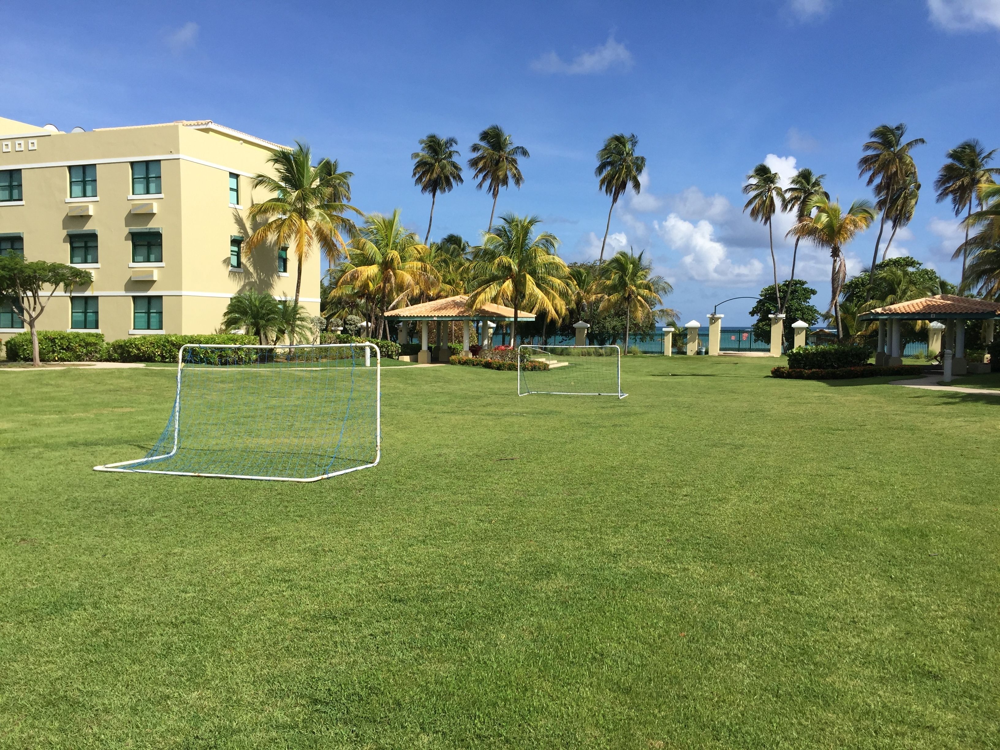 Un terrain herbeux bien entretenu, avec deux buts de football, entouré de palmiers et d’un bâtiment doté de nombreuses fenêtres.