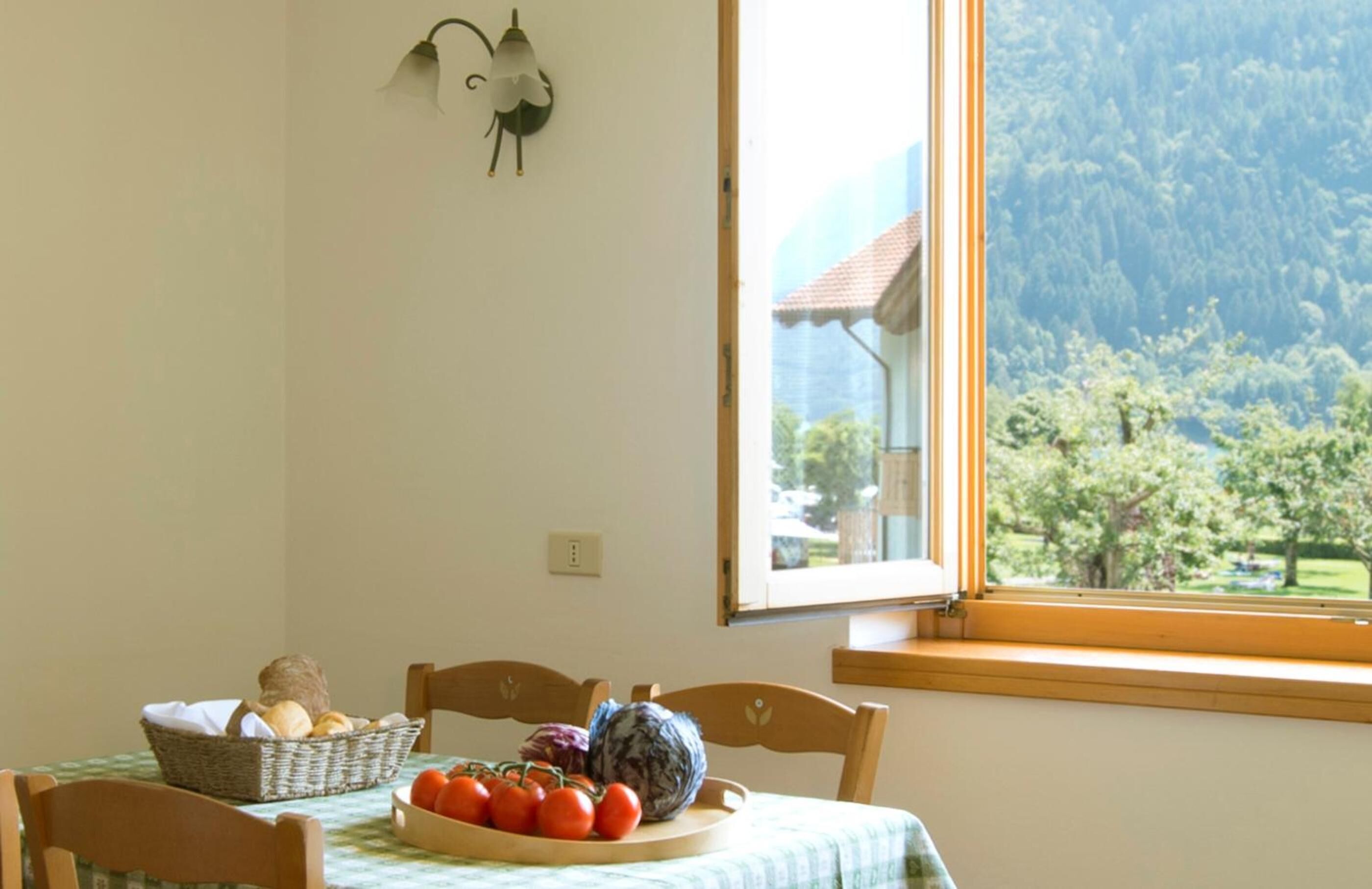 Fridge, microwave, stovetop, highchair