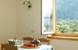 Fridge, microwave, stovetop, highchair