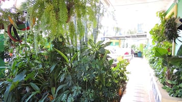 Ubetjent parkering (inkludert)