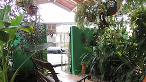 A bench in a lush garden area with various plants and a green gate in the background. - Panama Canal Inn (Panama City)