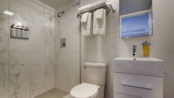 A bathroom with a toilet, a shower, a sink, and a mirror.