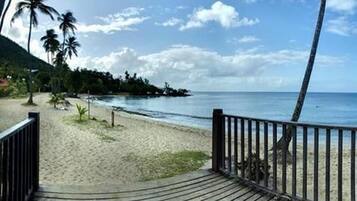 A wooden pathway leading to a beach with palm trees and a clear sky.