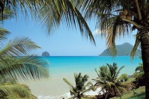 A beach scene with palm trees, clear blue water, and a distant mountain. - Le Paradis de l'Anse (Riviere-Pilote)