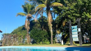 Una piscina con agua cristalina azul, rodeada de altas palmeras y exuberante vegetación.