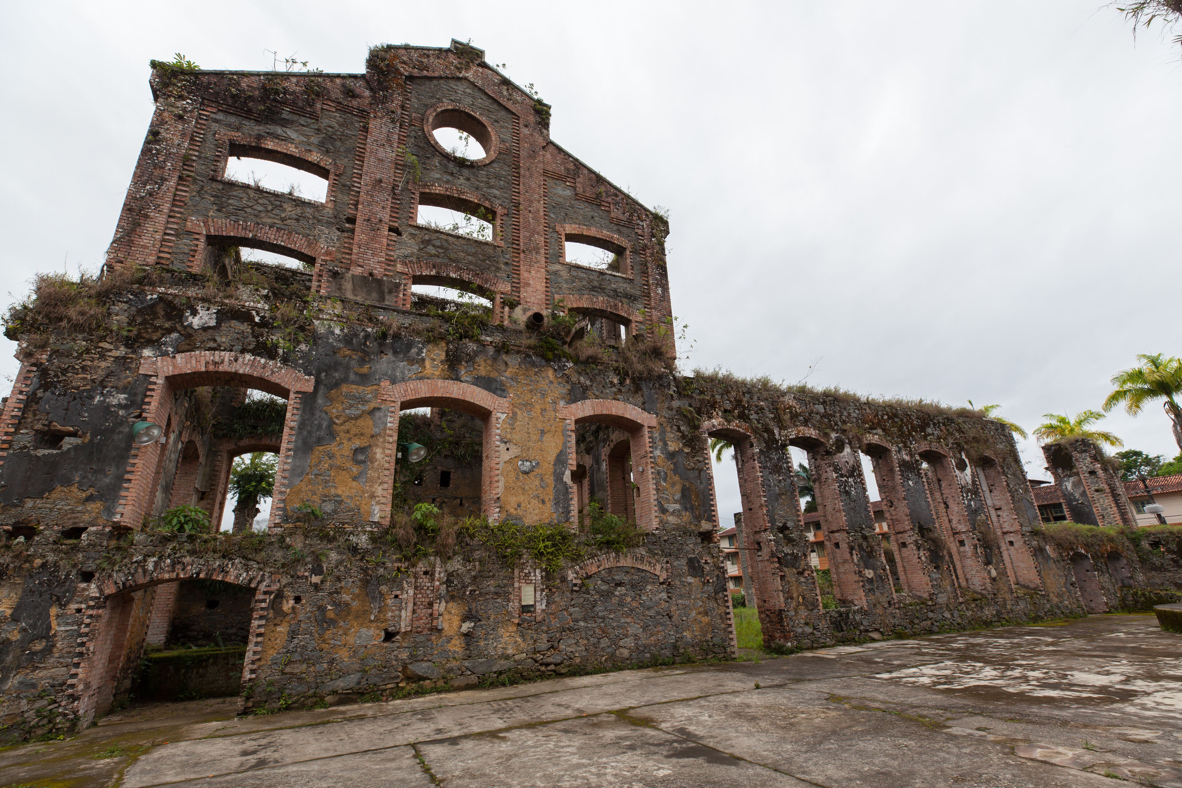 Photo - Samba Angra dos Reis