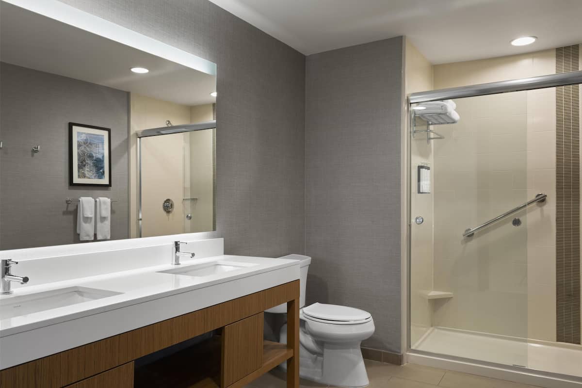 Suite, 1 cama King size y sofá cama | Baño | Amenidades de baño gratuitas y toallas