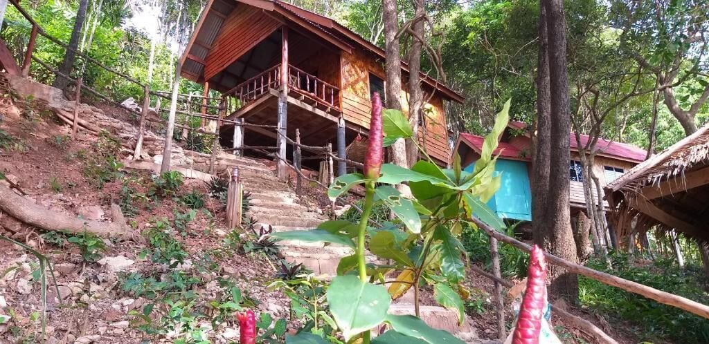 Ein Holzhaus mit Veranda, umgeben von Bäumen und Vegetation.