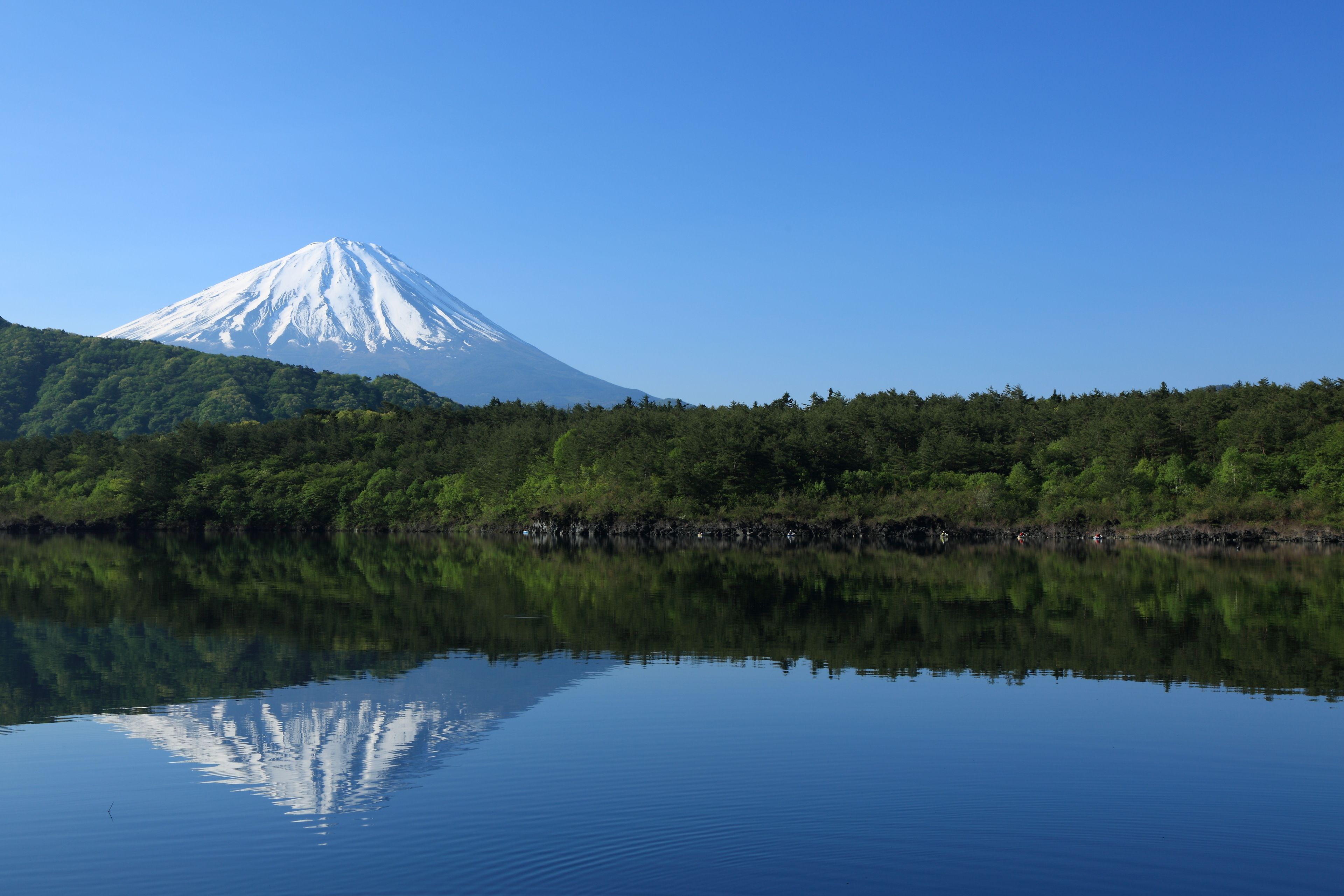 A tranquil lake with a reflection of a snow-capped mountain and dense forest.